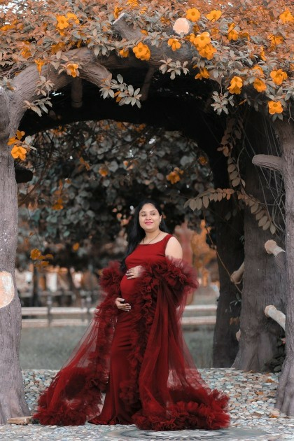 Dark Maroon Princess type Maternity Gown